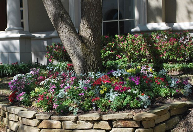 Home Landscaping Guide | Gardening Ideas